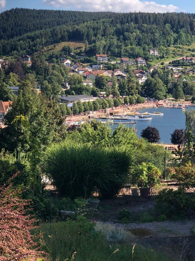 Gerardmer : Residence "L'Eau Vive" Екстер'єр фото